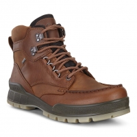 Ecco Men's Track 25 Mid GTX 831704