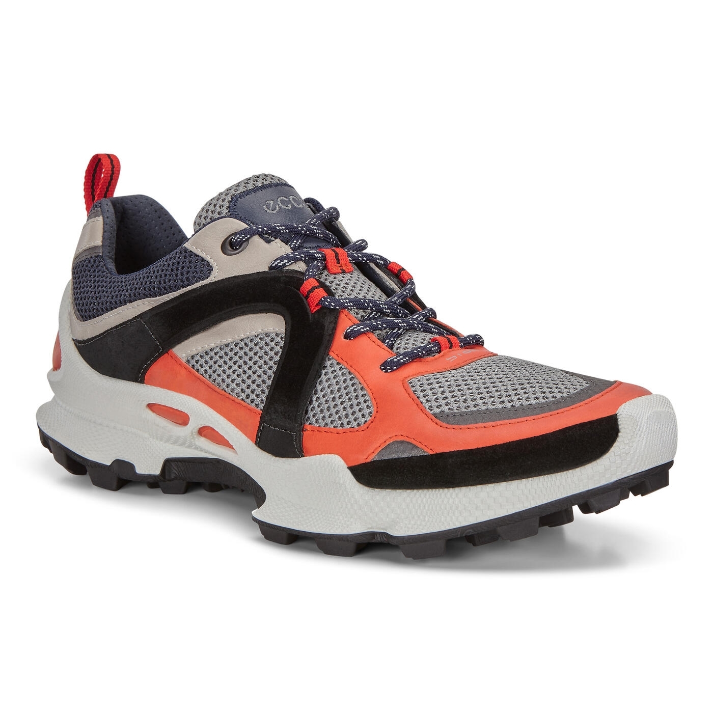 Ecco men's biom outlet zero cross-training shoe