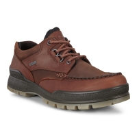 Ecco Men's Track 25 GTX 831714