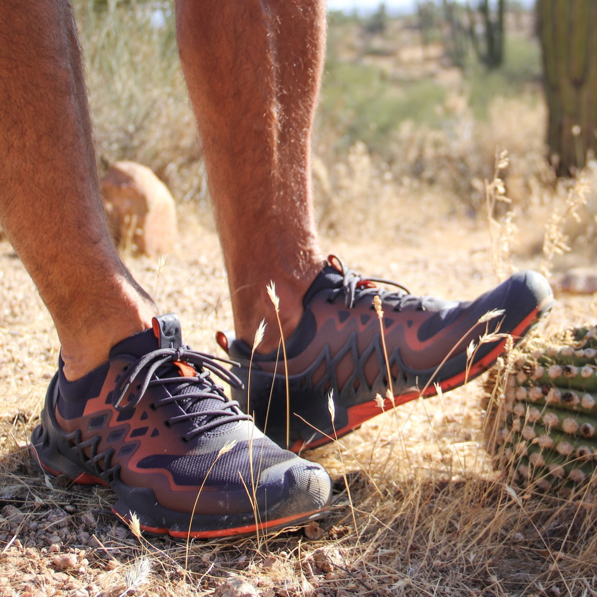 Ecco men's shop running shoes