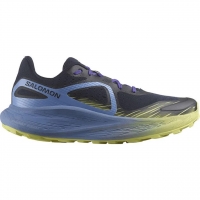 Salomon Men's Glide Max TR