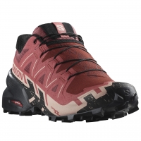 Salomon Women's Speedcross 6 GTX