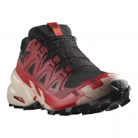 Salomon Men's Speedcross 6 GTX