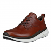 Ecco Men's Biom 2.2 830794