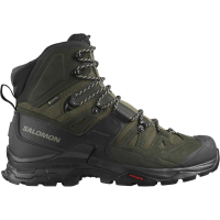 Salomon Men's Quest 4 GTX