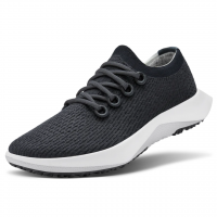 Allbirds Men's Tree Dasher 2