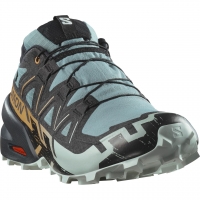 Salomon Men's Speedcross 6 GTX